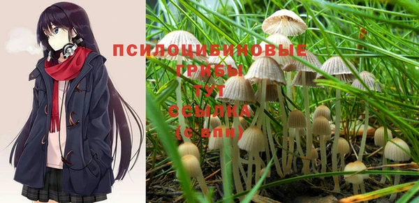 дживик Арсеньев