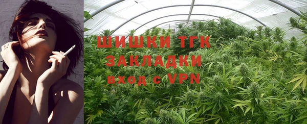 крисы Армянск